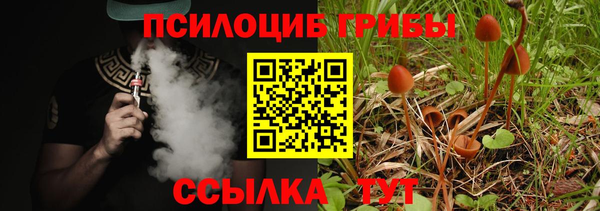 Псилоцибиновые грибы Magic Shrooms Бахчисарай